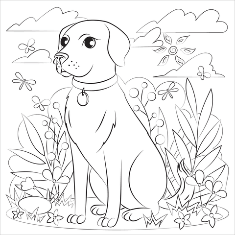 Black Lab Coloring Page